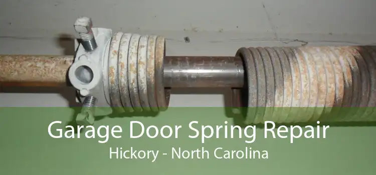 Garage Door Spring Repair Hickory - North Carolina