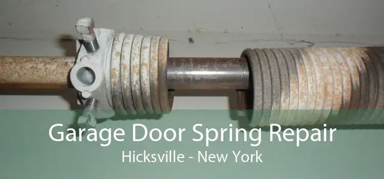 Garage Door Spring Repair Hicksville - New York