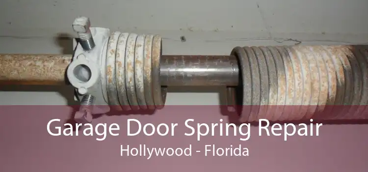 Garage Door Spring Repair Hollywood - Florida