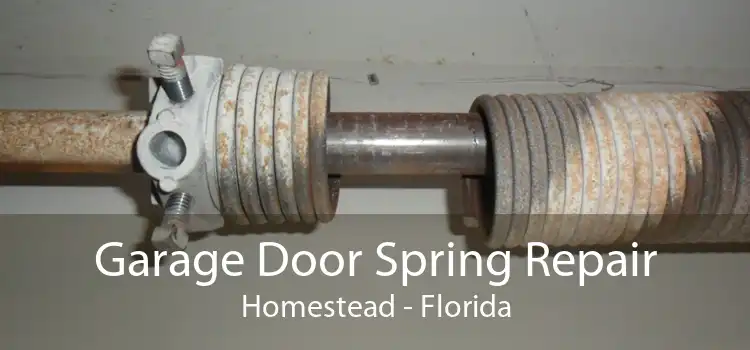 Garage Door Spring Repair Homestead - Florida