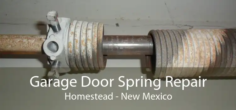 Garage Door Spring Repair Homestead - New Mexico