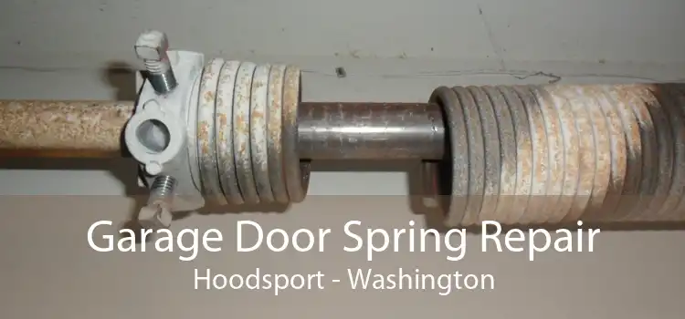 Garage Door Spring Repair Hoodsport - Washington