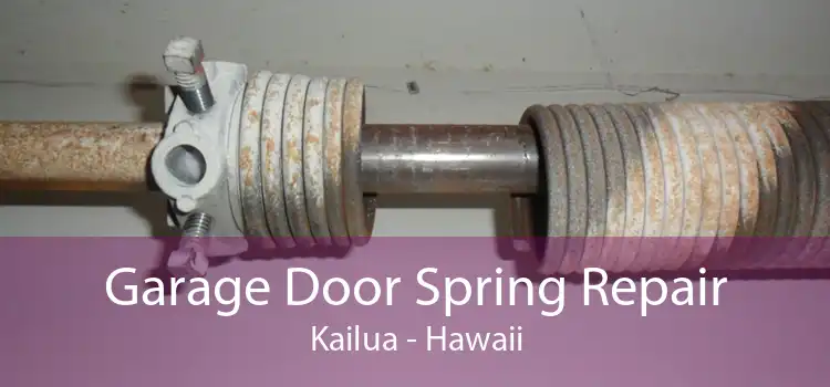 Garage Door Spring Repair Kailua - Hawaii