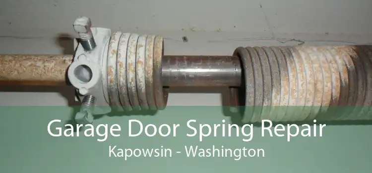 Garage Door Spring Repair Kapowsin - Washington