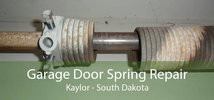 Garage Door Spring Repair Kaylor - South Dakota