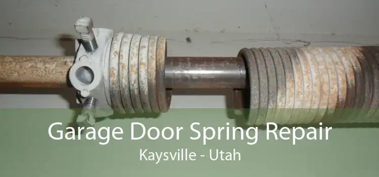Garage Door Spring Repair Kaysville - Utah