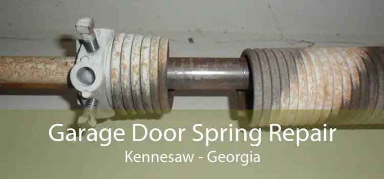 Garage Door Spring Repair Kennesaw - Georgia