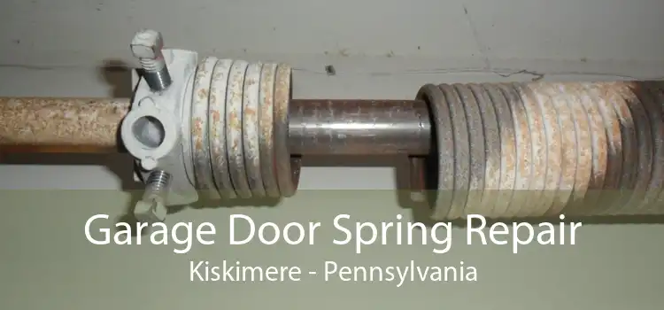 Garage Door Spring Repair Kiskimere - Pennsylvania