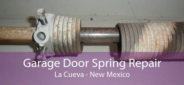 Garage Door Spring Repair La Cueva - New Mexico