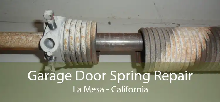 Garage Door Spring Repair La Mesa - California