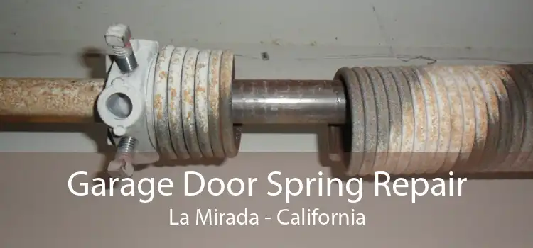 Garage Door Spring Repair La Mirada - California