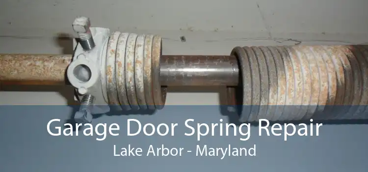 Garage Door Spring Repair Lake Arbor - Maryland