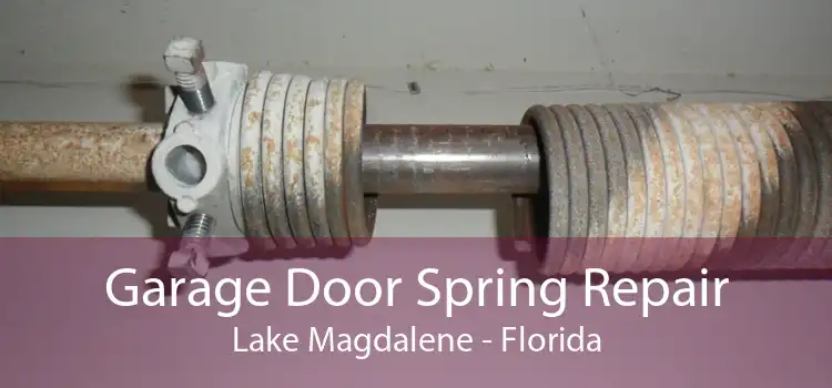 Garage Door Spring Repair Lake Magdalene - Florida