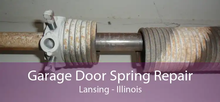 Garage Door Spring Repair Lansing - Illinois