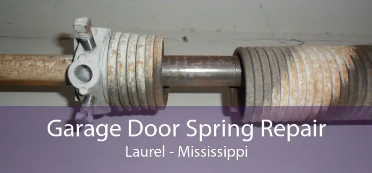 Garage Door Spring Repair Laurel - Mississippi