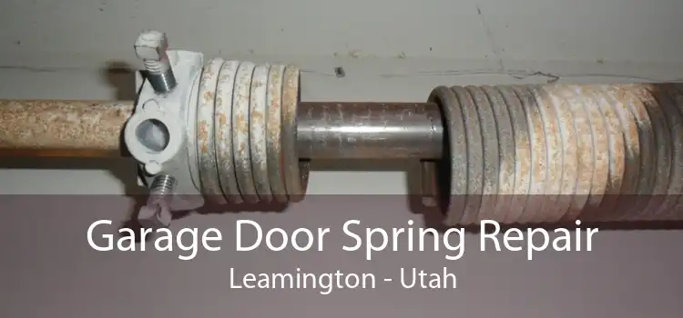 Garage Door Spring Repair Leamington - Utah