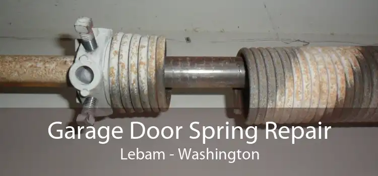 Garage Door Spring Repair Lebam - Washington