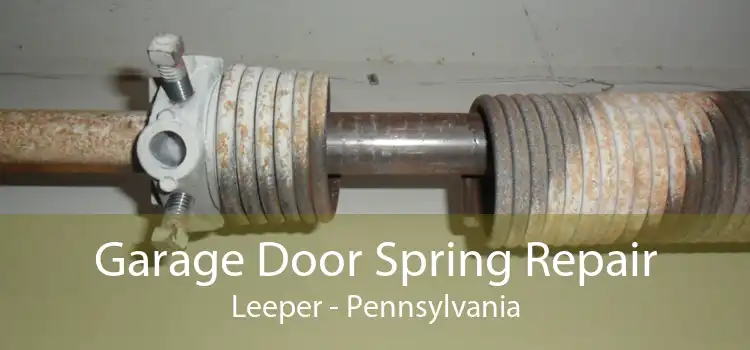 Garage Door Spring Repair Leeper - Pennsylvania
