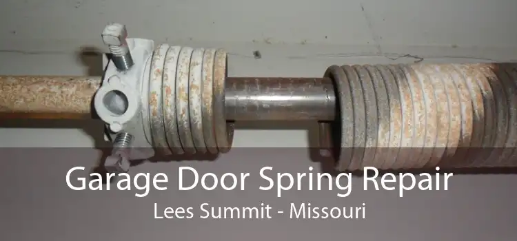 Garage Door Spring Repair Lees Summit - Missouri