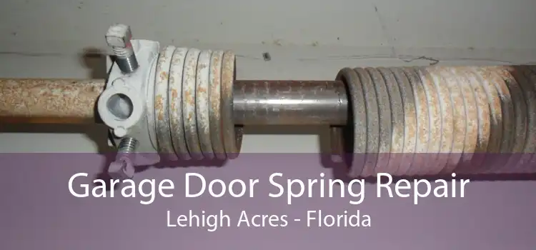 Garage Door Spring Repair Lehigh Acres - Florida