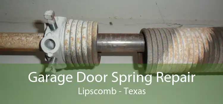 Garage Door Spring Repair Lipscomb - Texas