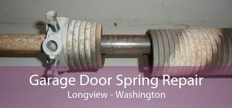 Garage Door Spring Repair Longview - Washington