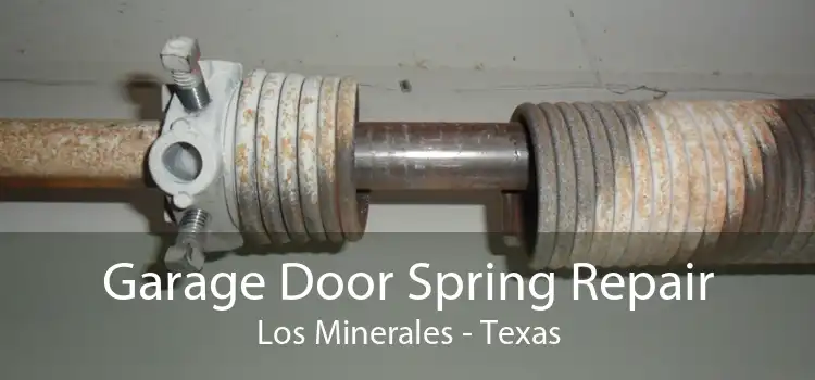 Garage Door Spring Repair Los Minerales - Texas