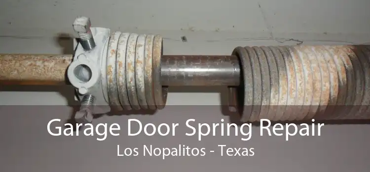 Garage Door Spring Repair Los Nopalitos - Texas