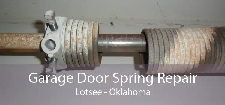 Garage Door Spring Repair Lotsee - Oklahoma