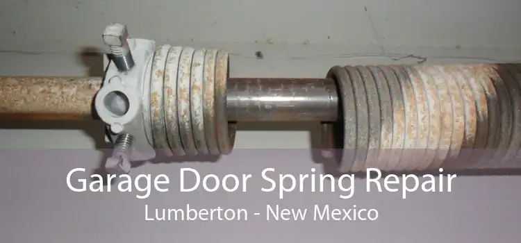Garage Door Spring Repair Lumberton - New Mexico