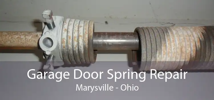 Garage Door Spring Repair Marysville - Ohio