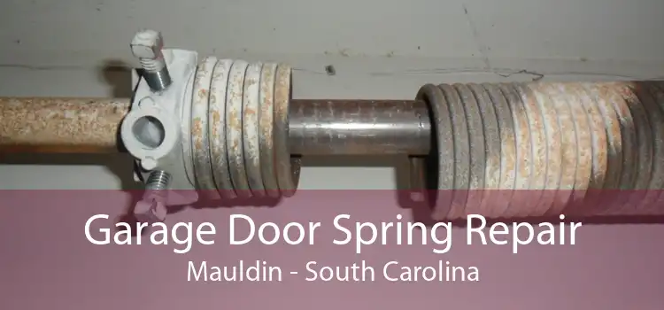 Garage Door Spring Repair Mauldin - South Carolina