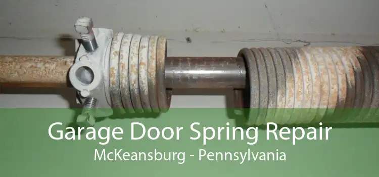 Garage Door Spring Repair McKeansburg - Pennsylvania