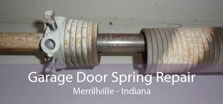 Garage Door Spring Repair Merrillville - Indiana