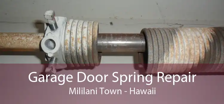 Garage Door Spring Repair Mililani Town - Hawaii
