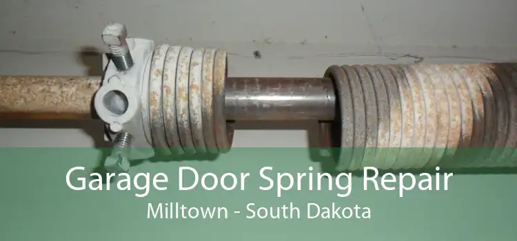 Garage Door Spring Repair Milltown - South Dakota