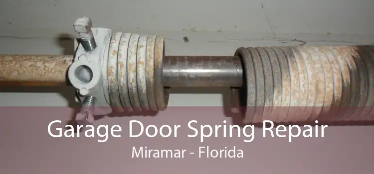 Garage Door Spring Repair Miramar - Florida
