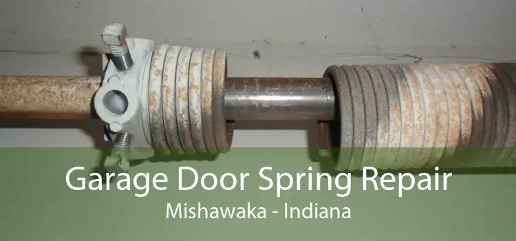 Garage Door Spring Repair Mishawaka - Indiana