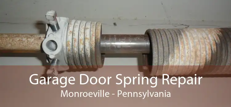 Garage Door Spring Repair Monroeville - Pennsylvania