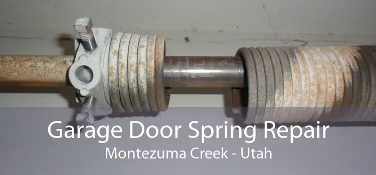 Garage Door Spring Repair Montezuma Creek - Utah