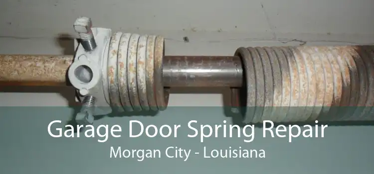 Garage Door Spring Repair Morgan City - Louisiana