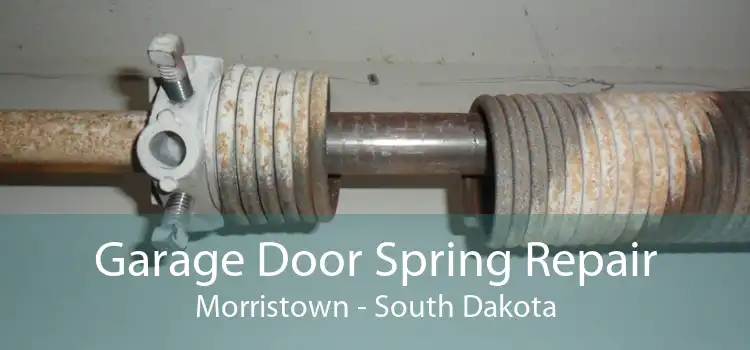 Garage Door Spring Repair Morristown - South Dakota