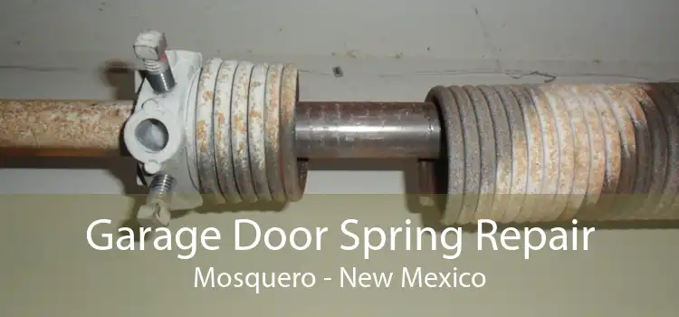 Garage Door Spring Repair Mosquero - New Mexico