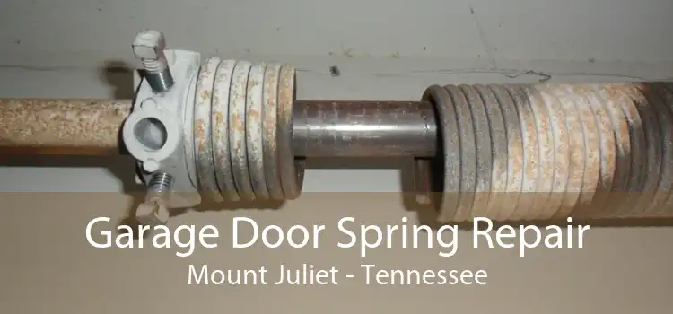 Garage Door Spring Repair Mount Juliet - Tennessee