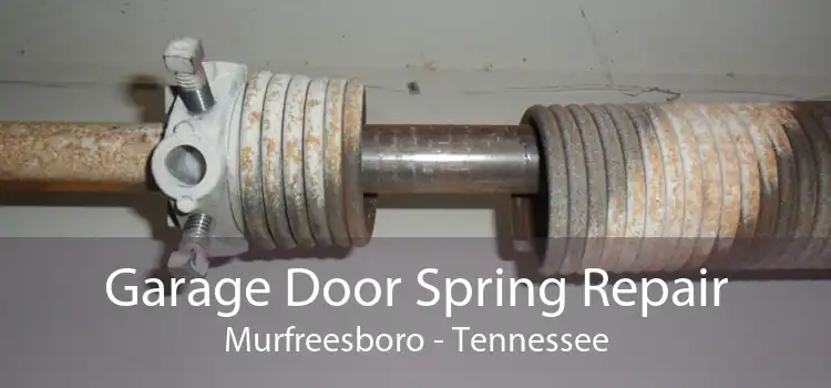 Garage Door Spring Repair Murfreesboro - Tennessee