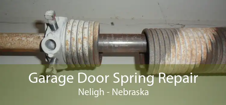Garage Door Spring Repair Neligh - Nebraska