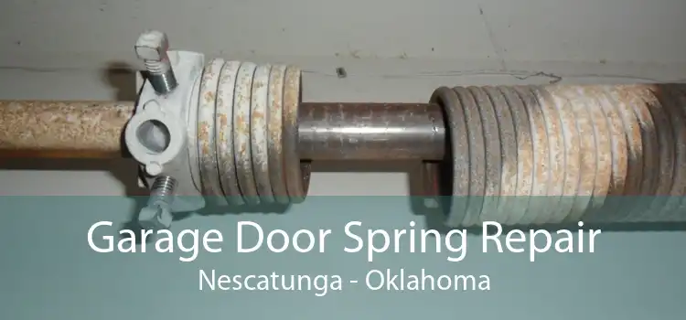 Garage Door Spring Repair Nescatunga - Oklahoma