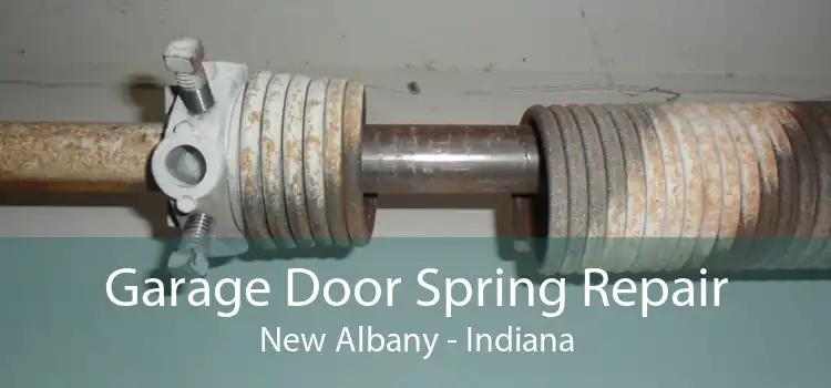 Garage Door Spring Repair New Albany - Indiana