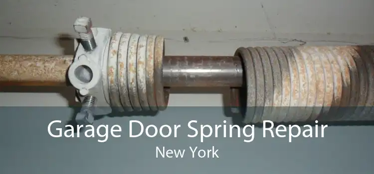 Garage Door Spring Repair New York