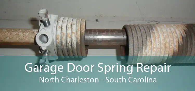 Garage Door Spring Repair North Charleston - South Carolina